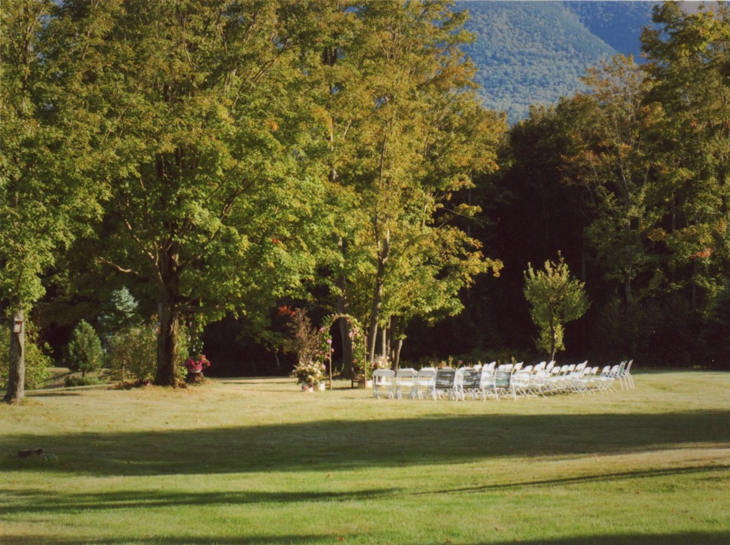 Wedding chairs and alter set up surrounded by beautiful greenery